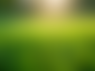 Top Lawn Care Tips for a Stunning Landscape