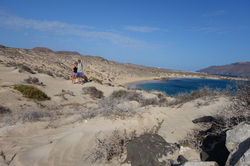Isla Graciosa on the dunes