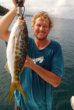 Yellow tail snapper for Chrissy