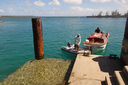at the Dock in Pangai