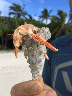 This crap found a nice house