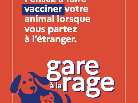 "Gare à la Rage" campagne de prévention