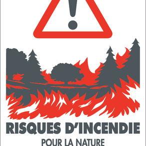 département des Yvelines  au niveau de risque "Orange – Danger élevé" pour le risque feux de forêt sur la journée de mercredi 29 juillet 2026. 