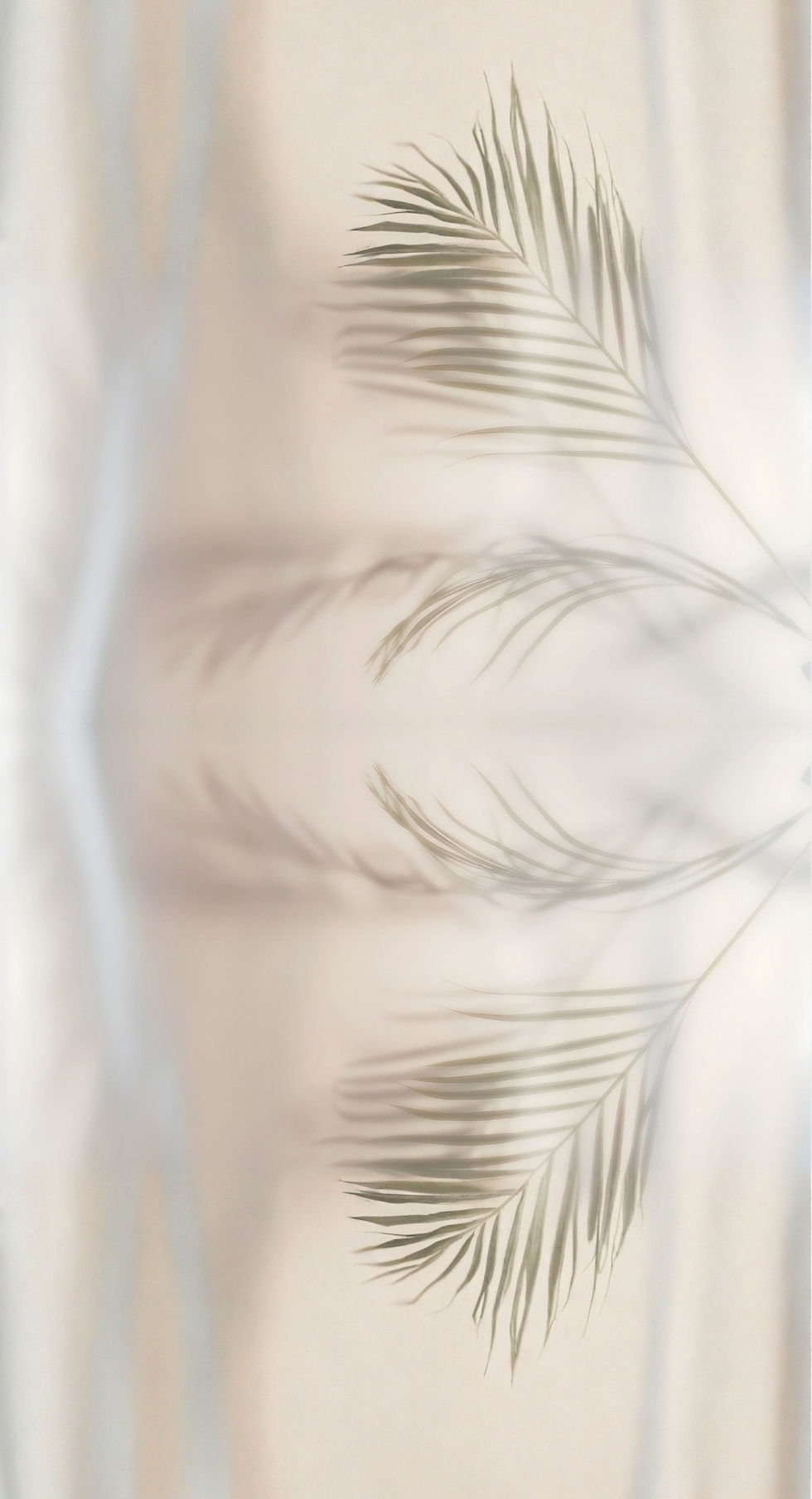 Copy of Holly Brand Board IDEA DUMP (1)_edited_edited.jpg