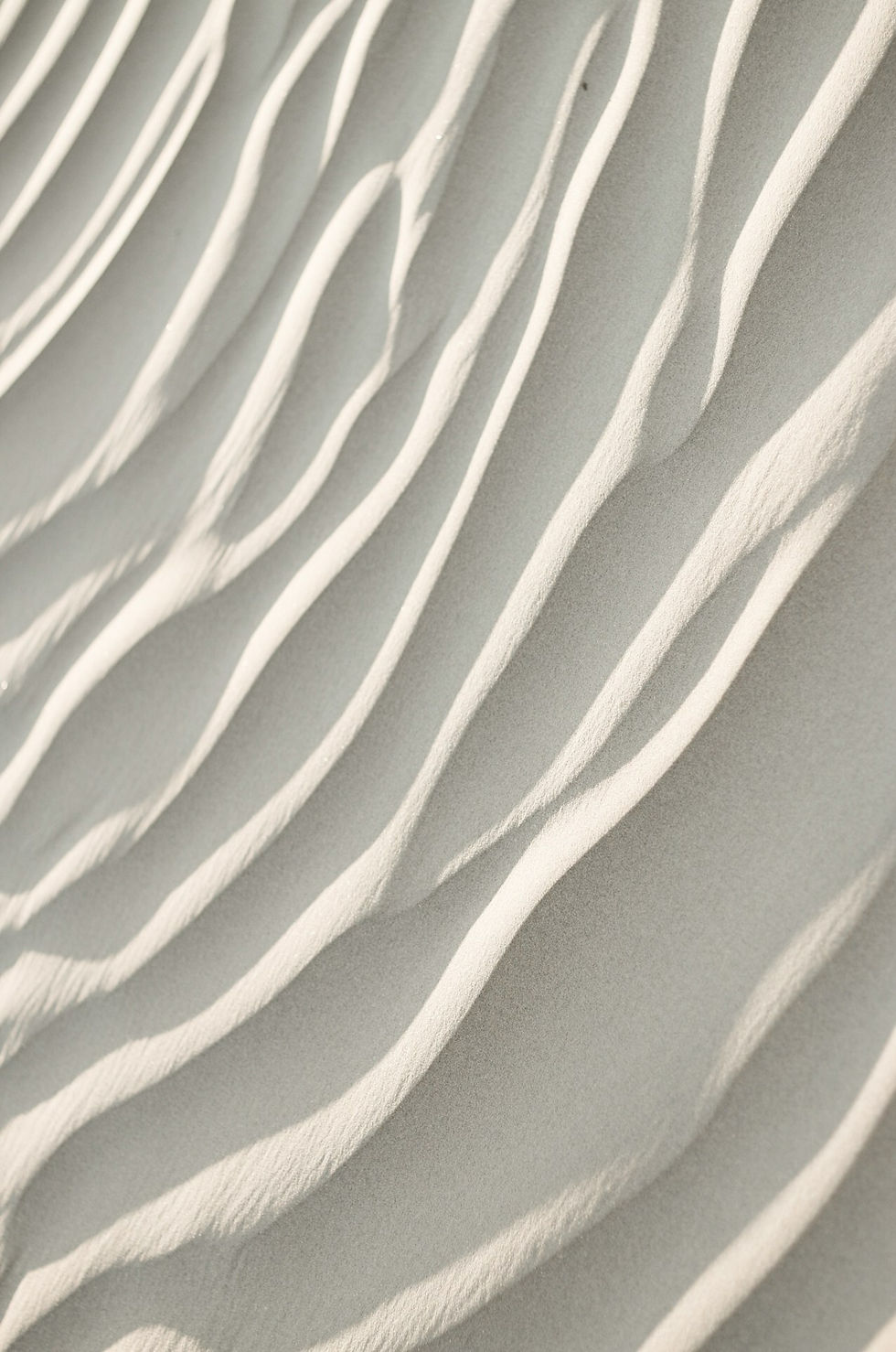 beach sand home sweet home marco island