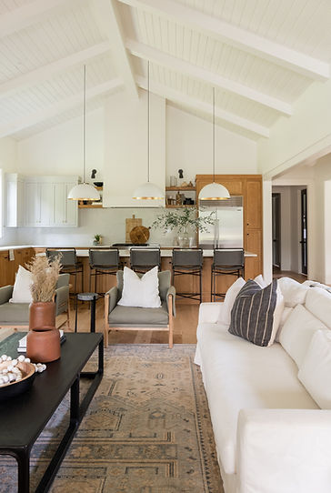 Bradie Fisher Interiors Organic Modern Open Concept Design