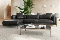 leather couch