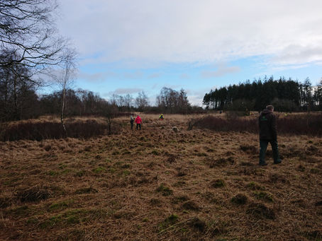 CITO in den Sandbergen von Löwenstedt