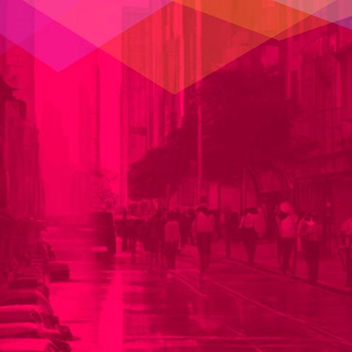 Capacidad Institucional del Estado: una trampa para el Desarrollo