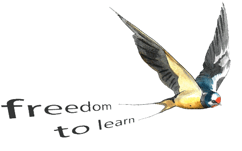 SEND5 Dyslexia Consultancy Freedom to learn animated swallow
