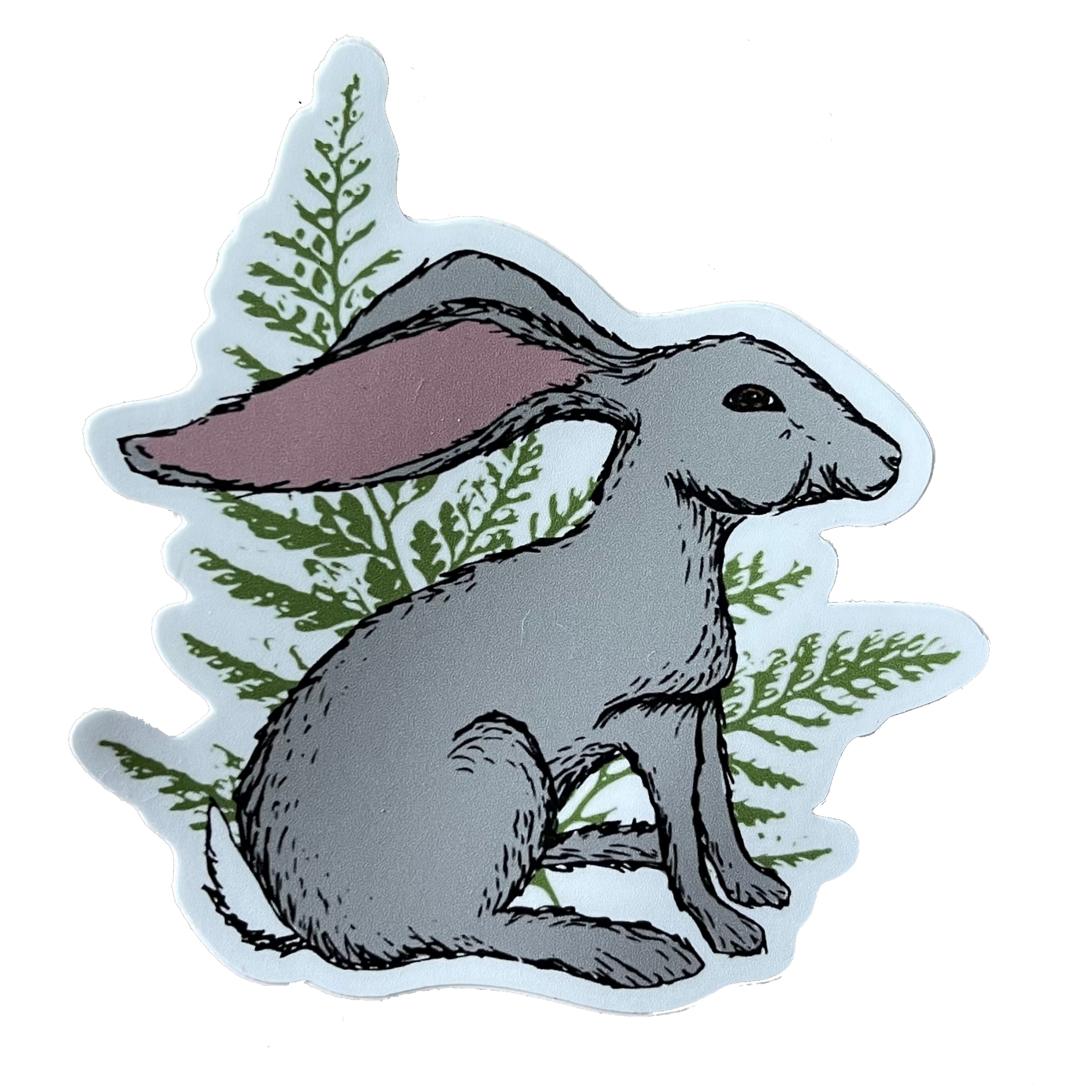 Hare & Fern Sticker
