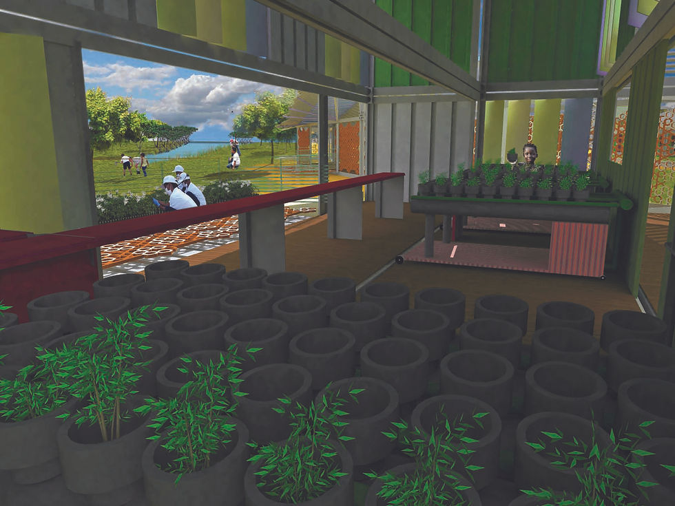 Zonas de cultivo de mangle