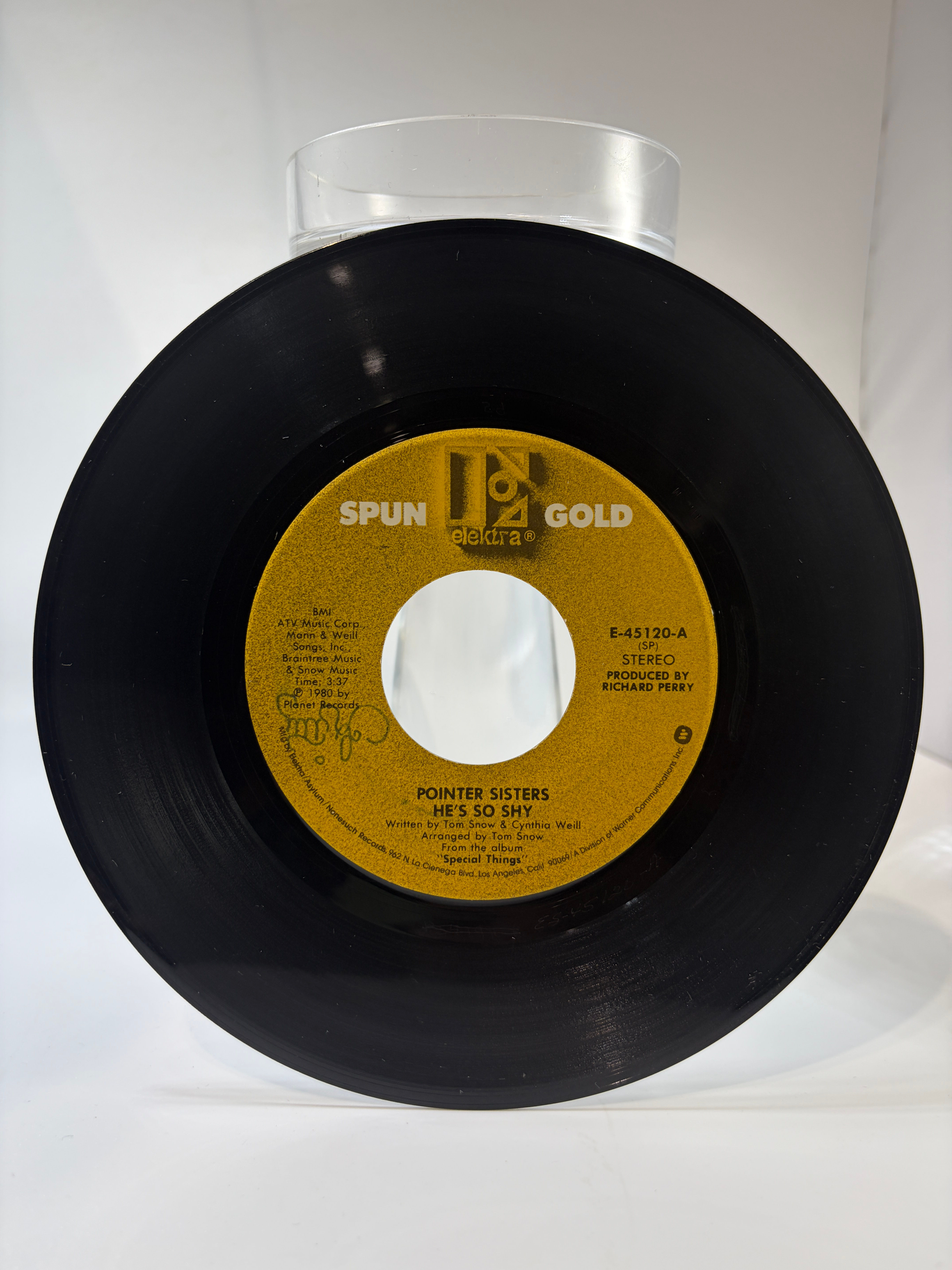 "He's So Shy" by the Pointer Sisters