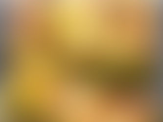 Quiche aux oignons sans pâte