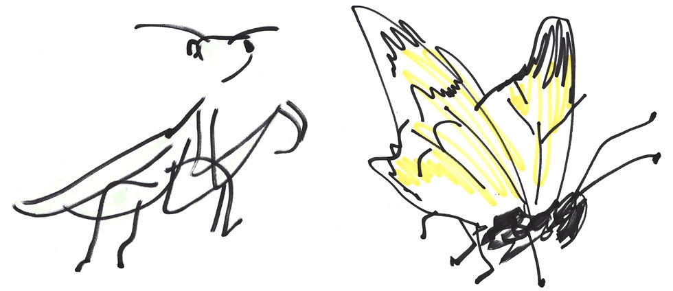 ree