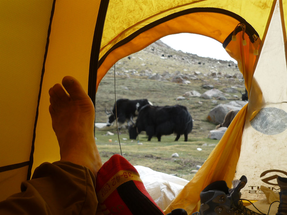 Keilash%2C%202009.%20%20Le%20matin..