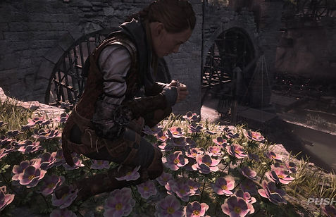 a-plague-tale-requiem-all-flowers-locations-guide-1.large.jpg