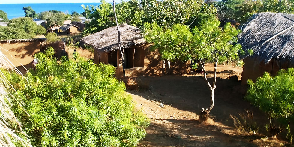 Mozambique - Leonard's house