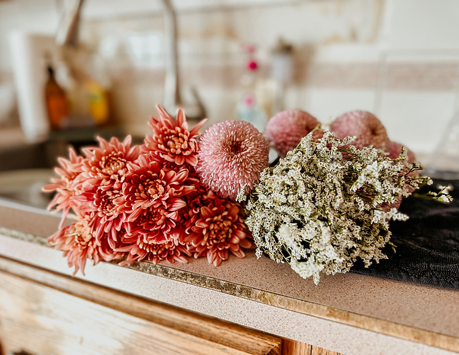 LDOTP WEBSITE PHOTO.png