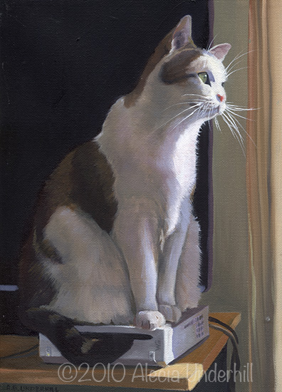 Wii Cat