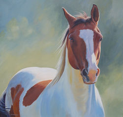 Painted Pony