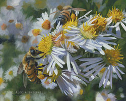 Pollinators, Wild Asters