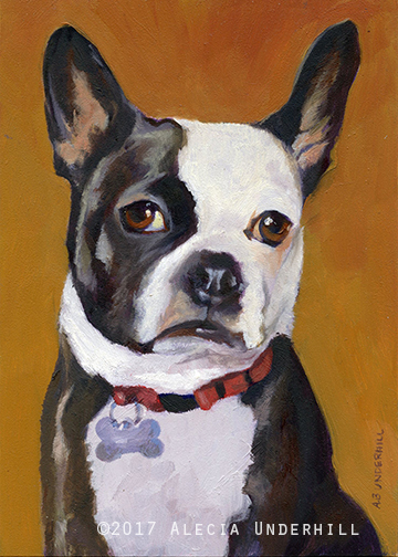 Lily