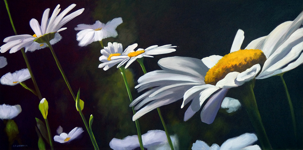 Daisies