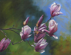 Pink Magnolia Branch