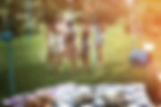 Bridal Shower Picnic