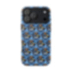 protective iPhone case