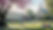 unnamed_edited_edited_edited.jpg