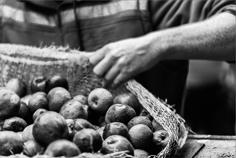 Capture d’écran 2023-11-21 à 11.29.52.png