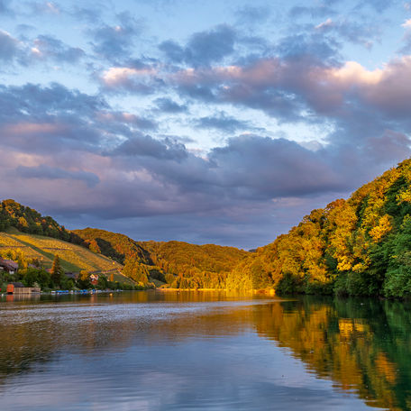 Der Wald rechts und die Häuser und Rebberge links des Rhein werden vom letzten Sonnenlicht angschienen. Die Wolken haben sich zum teil bereits orange verfärbt
