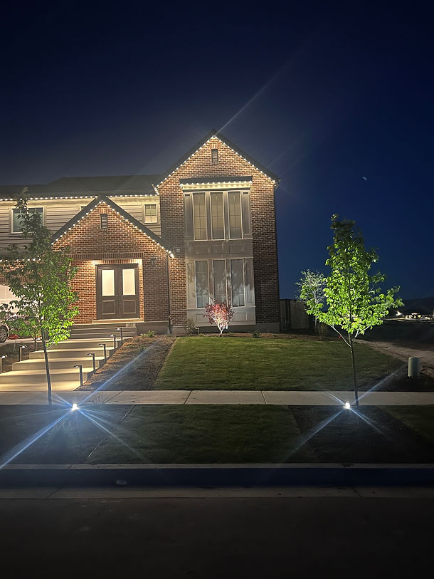 Home with landscape lighting in the dark.