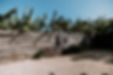 First Look-2.jpg