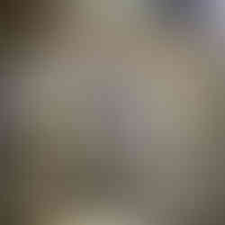 tweede opzet kozijn met inzet ramen