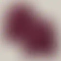 maroon crew neck back and front view