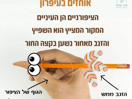 שיטת הציפור שעוזרת לזכור: אחיזת עיפרון נכונה