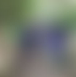 Nurture Group Forest School