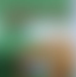 The Killer Cat in Year 2