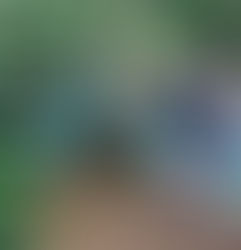 Den Building in Forest School