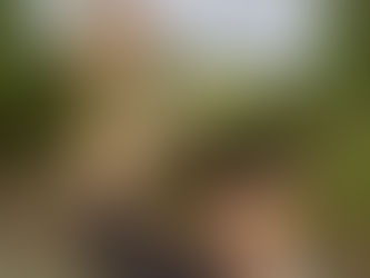 Year 3 – Walk for Peace