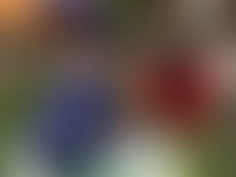 Continuous Provision in Reception