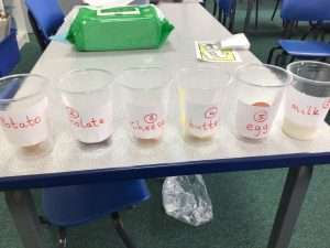 Science Experiment in Year 2