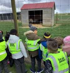 Whitehouse Farm Centre