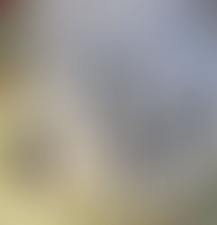 Penpals in Paris for Year 6