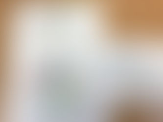 Our New Mini-Vinnies are commissioned