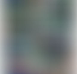 Spring Chicks Visit Year 1