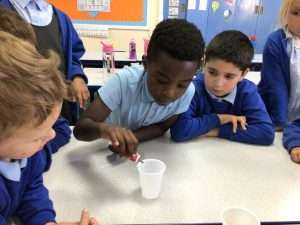 Year 2 ; Awe and Wonder in Science.